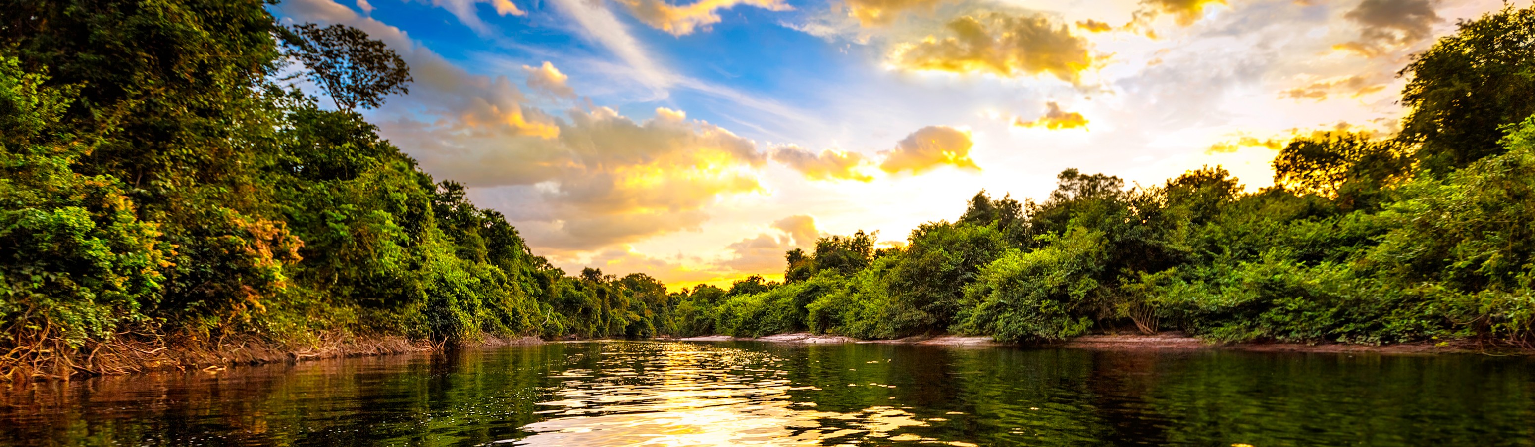 QSI International School of El Tigre Banner