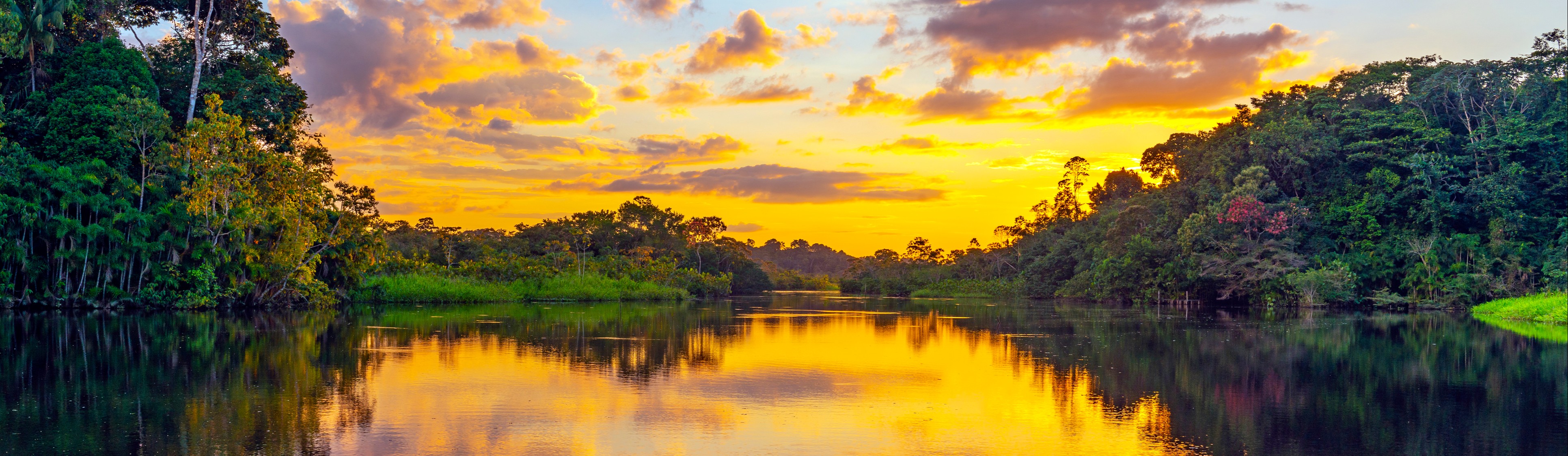 QSI International School of Suriname Banner