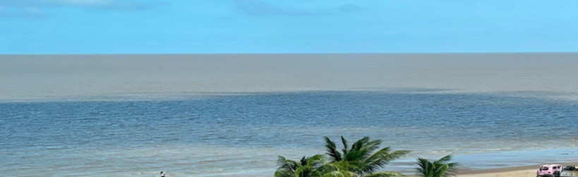 QSI International School of Guyana Banner