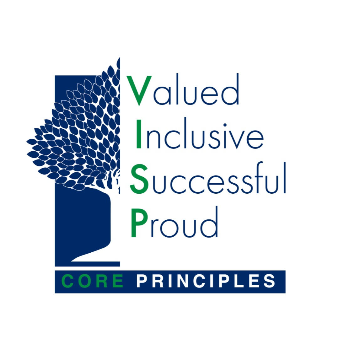 Vijay International School Logo